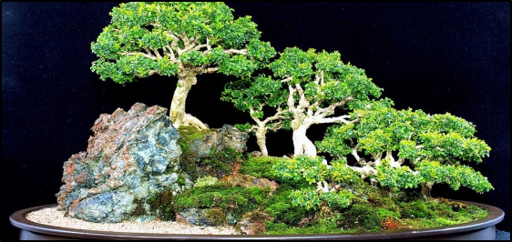 headphone collection