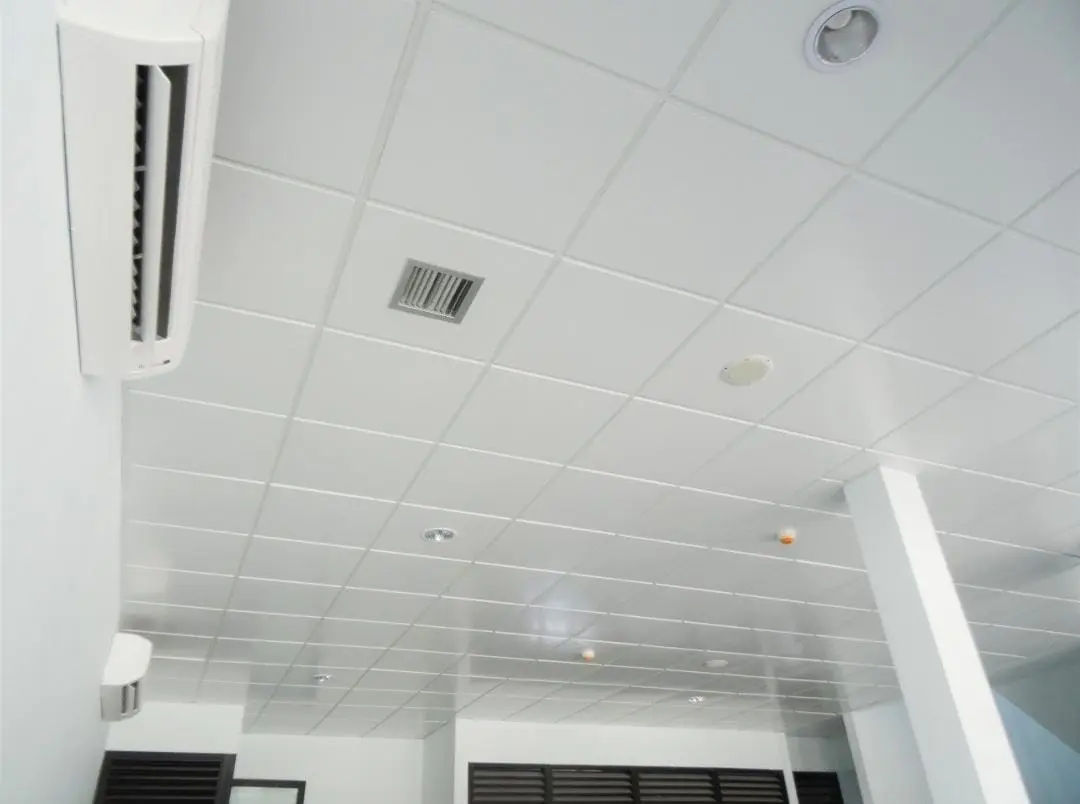 PANELLUX Metal Ceiling Snap In 60x60Cm